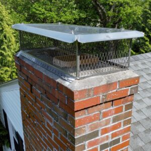 Flue Chimney Cap Installed To Prevent Birds By Mike's Chimney Sweeping